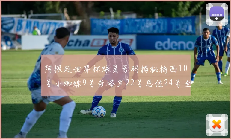 阿根廷世界杯球员号码揭秘梅西10号小蜘蛛9号劳塔罗22号恩佐24号全解析