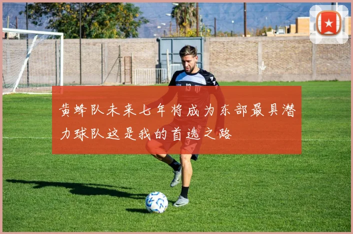 黄蜂队未来七年将成为东部最具潜力球队这是我的首选之路